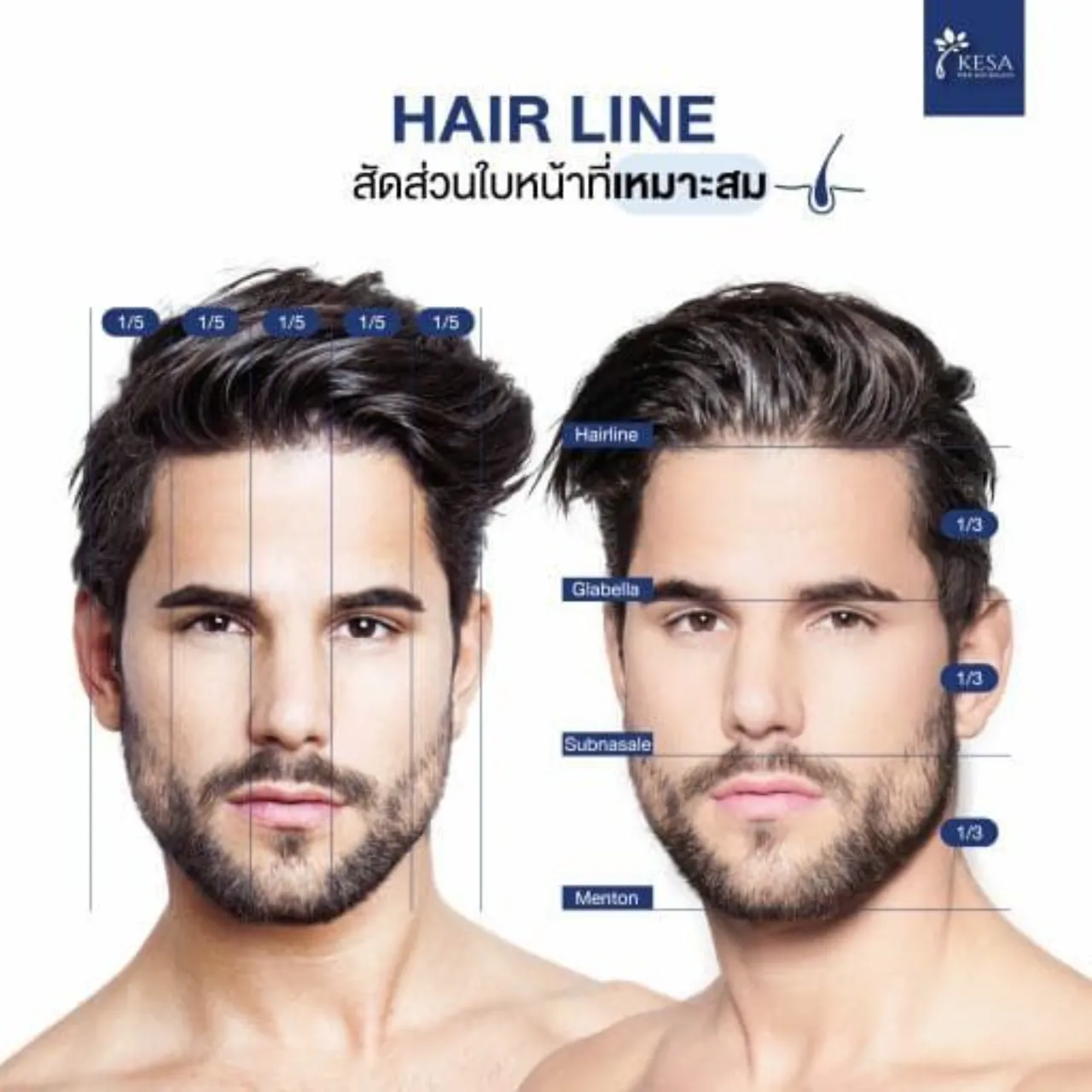 Hairline สัดส่วนที่เหมาะสม
