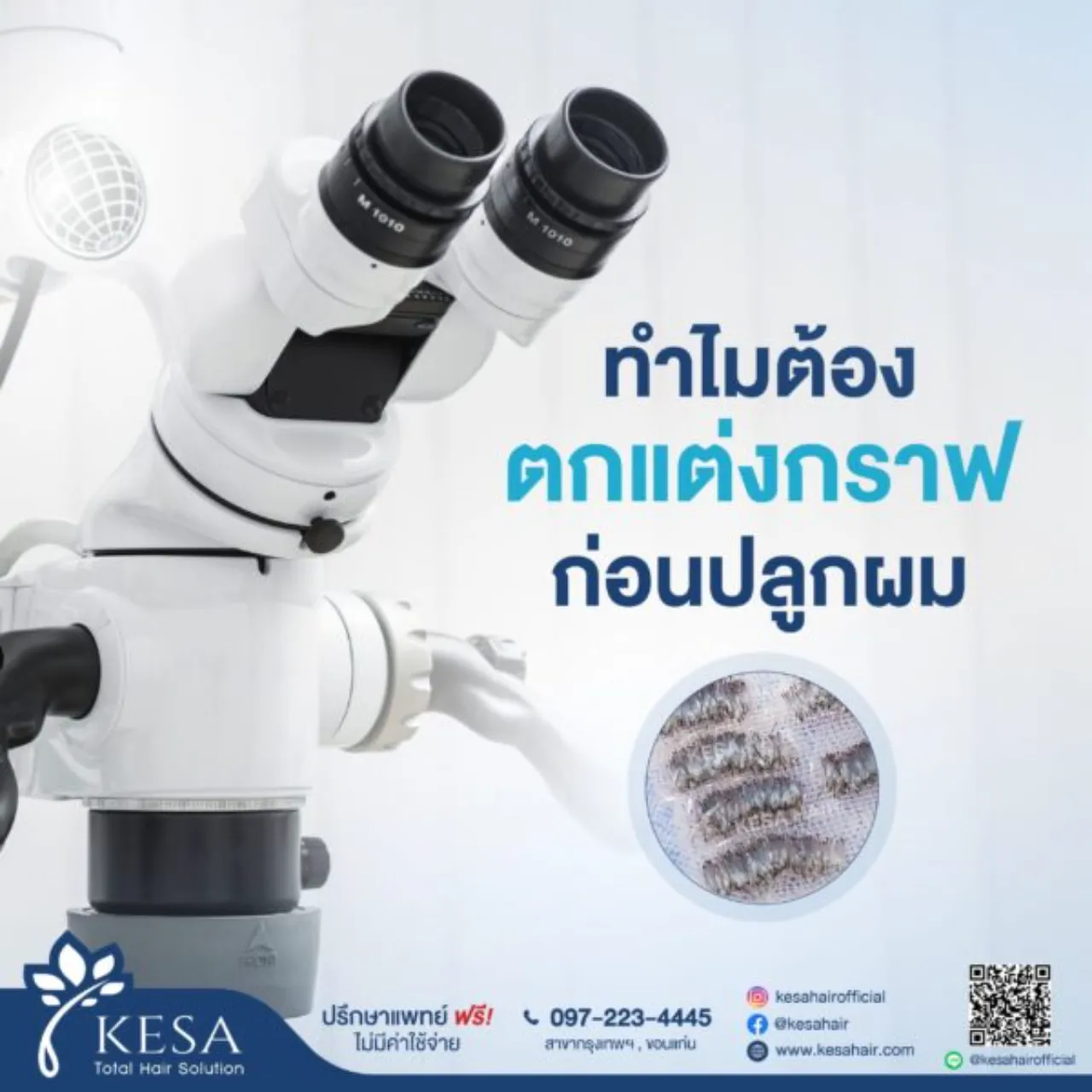 การตกแต่งกราฟ