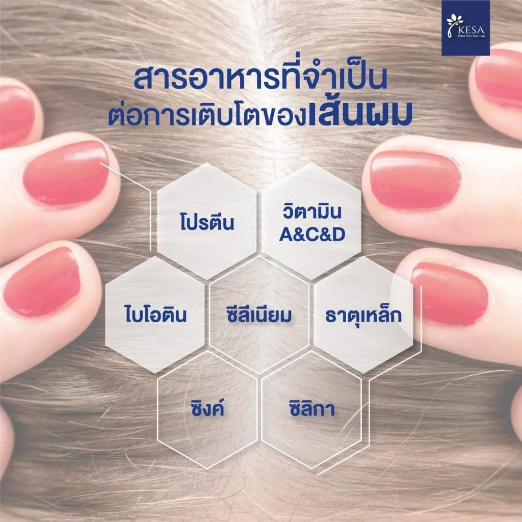 สารอาหารที่จำเป็น