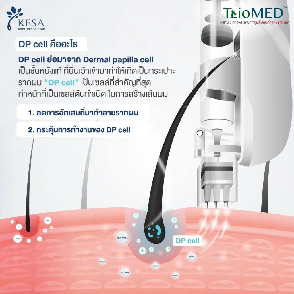TrioMED เกศา คลินิก - kesa hair clinic