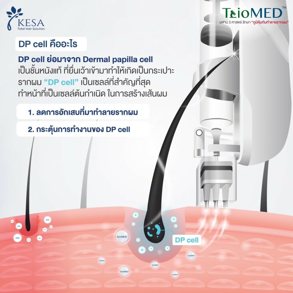 triomed เกศา คลินิก - kesa hair clinic เกศา คลินิก - kesa hair clinic